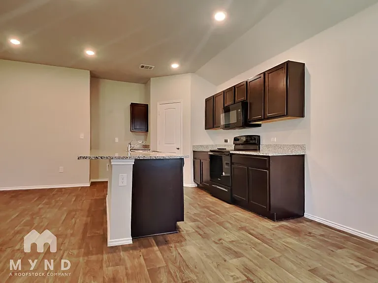 15117 Siberian Elm Ln — Photo 6