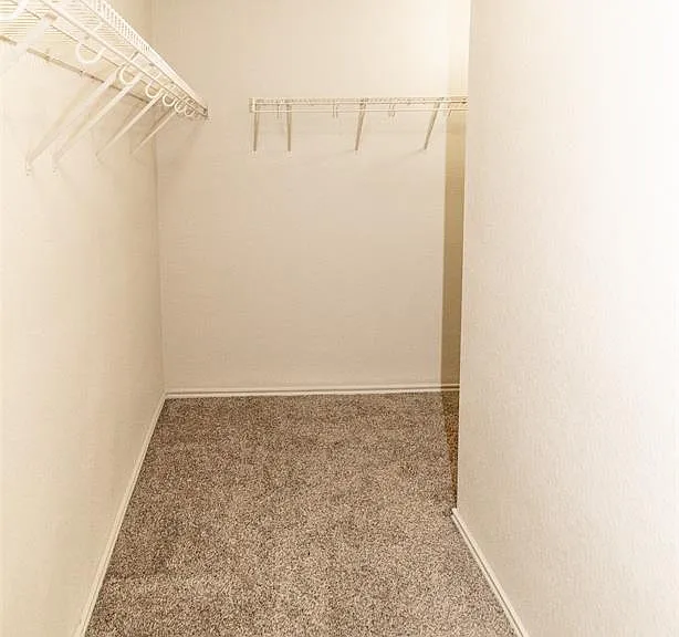 11800 Savanna Canyon Ct — Photo 13