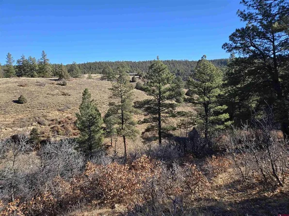 TBD County Road 359, Pagosa Springs, CO 81147
