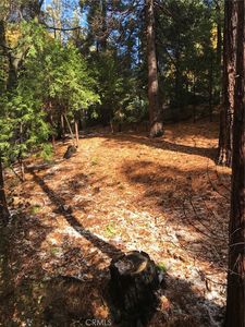 304 Emerald Dr #110, Lake Arrowhead, CA, 92352