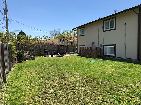 More of the backyard 