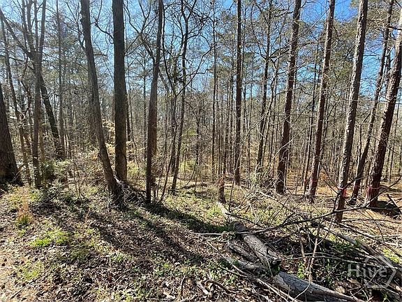 2nd image of Lot 62 Warbler Lane