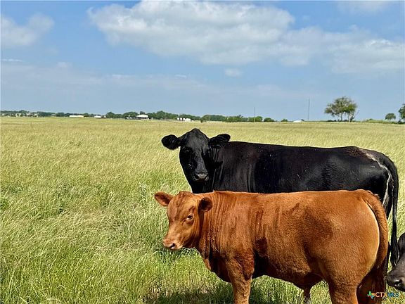 5th image of Smith Dairy Rd