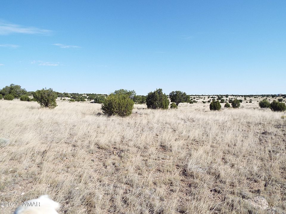 2nd image of 189 County Road 8643