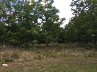 30800 Top Of The Hill Dr, Mount Dora, FL 32757