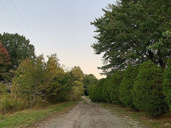 5th image of 4538 Lower Elkton Rd