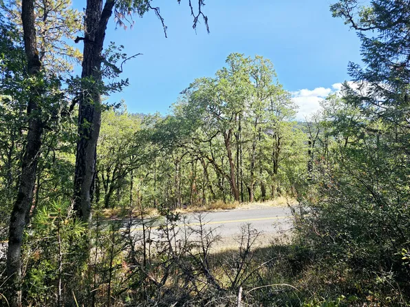 6531 Crowfoot Rd, Trail, OR 97541