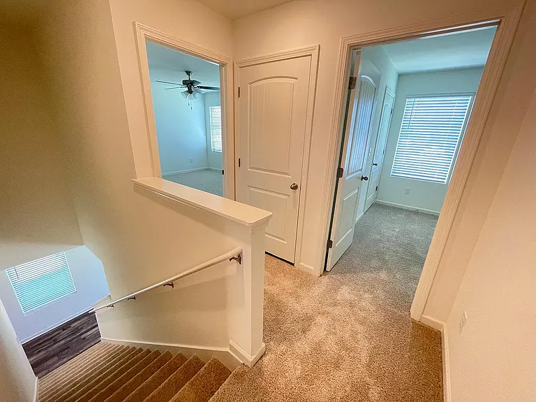229 Chelsea Park Cir — Photo 18
