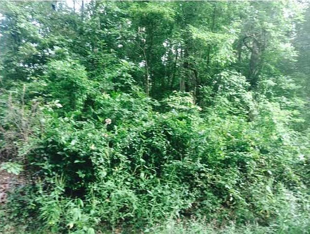 2nd image of 642 Wayside Pl