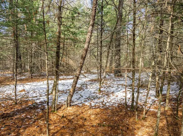 Lot 38 South Badger Lane #38, Arkdale, WI 54613