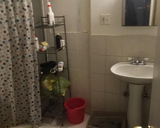 5th image of 146 Pine Pl