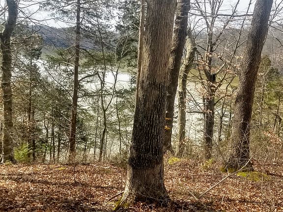 2nd image of 505 Wondering Woods Dr