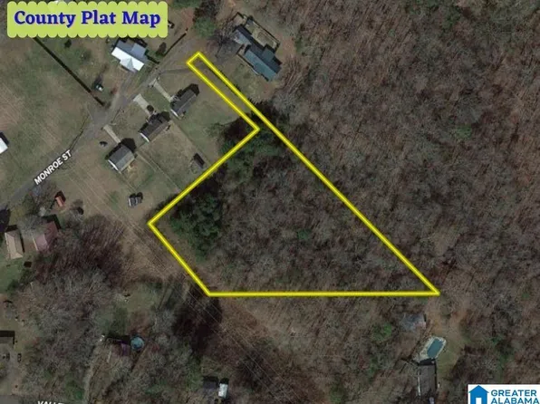 LOT 4 Monroe St, Guntersville, AL 35976