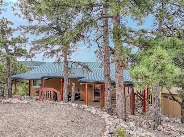 421 Bull Domingo Ln, Westcliffe, CO 81252