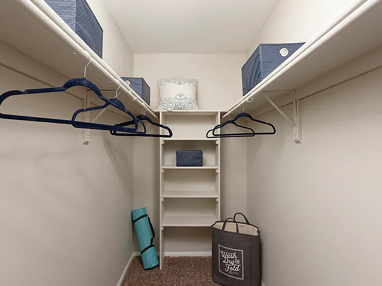 PLATINUM upgraded spacious walk in closet