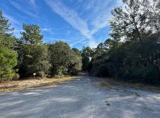 0 Sequoia Trl #1, Ocklawaha, FL 32179