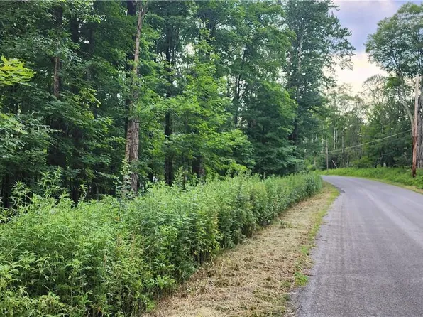 Todd Road Tr 11, Woodbourne, NY 12788