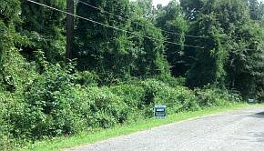 4th image of 121 Pinetree Dr