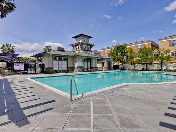 Swimming Pool1