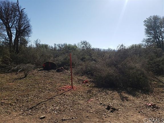 2nd image of 16595 5th Ave