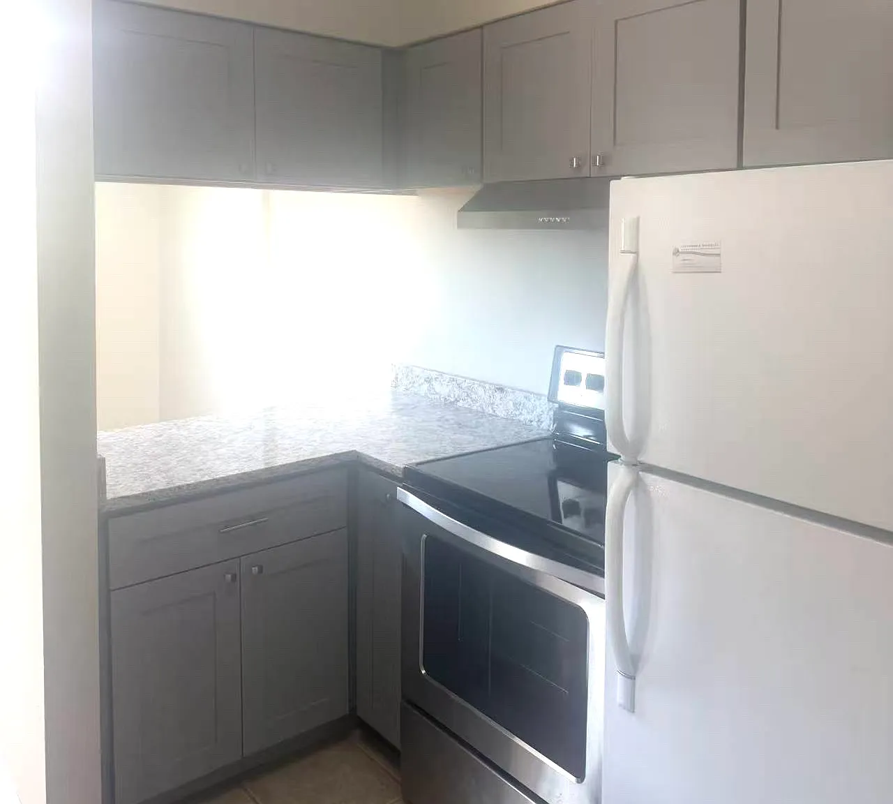 2 bed, 1000 sqft, $1,395 — Photo 4