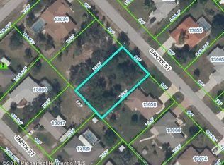 Santee St, Spring hill, FL 34609
