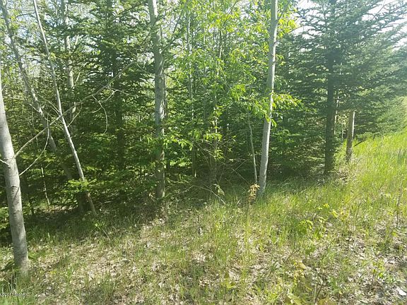 3rd image of 1384 N 122nd Ave