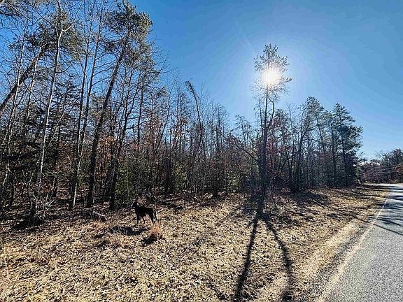 2nd image of 000 Lyndon Road