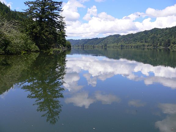 7 Acres of River Frontage