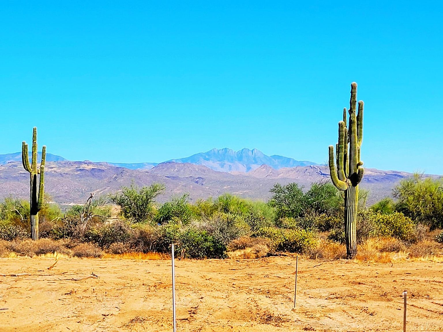 16926 E Montgomery Rd RIO, Rio Verde, AZ 85263 Zillow