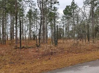 NW Buena Vista Rd LOT 19, Dunnellon, FL 34431