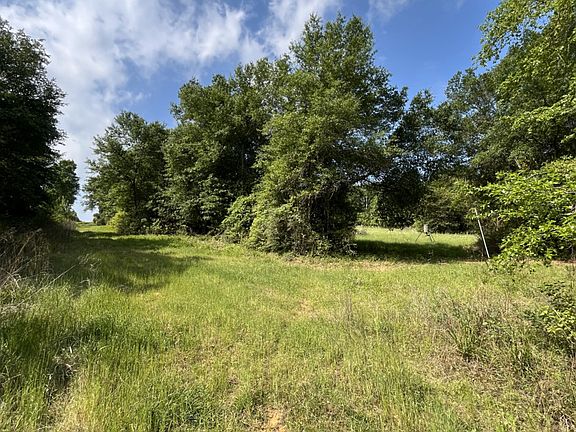 4th image of 14004 County Road 470