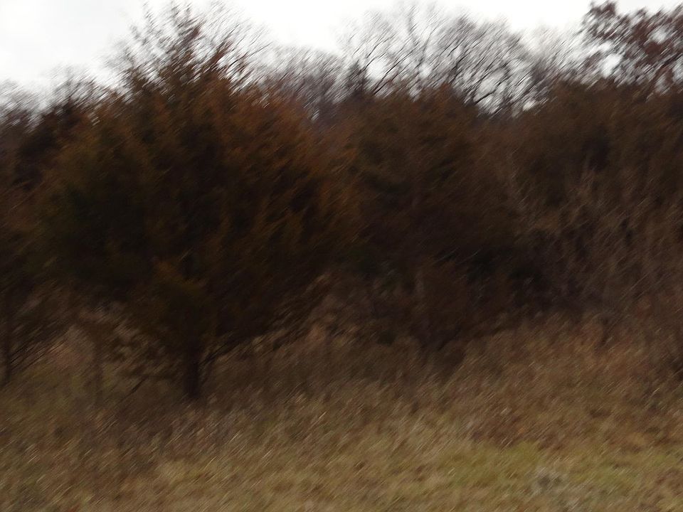 2nd image of 6 Winterwood Ln