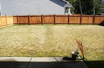 2nd image of 3317 81st Dr NE