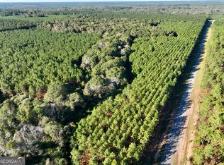 0 Barentine Rd, Rochelle, GA 31079