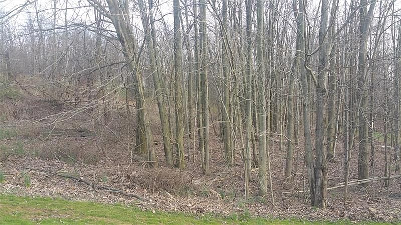 1st image of Lot # 76 Ann Cir
