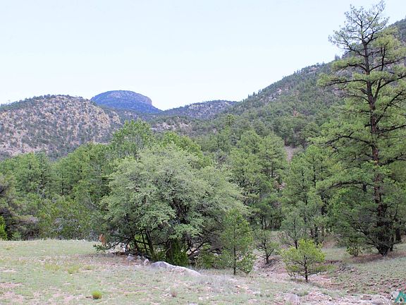 3rd image of Forest Rd #234