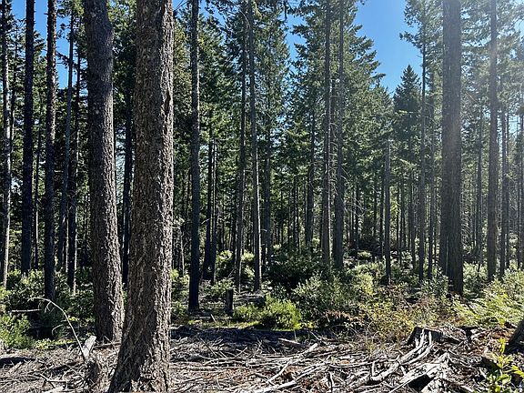 2nd image of 3500 Old Three Creeks Rd