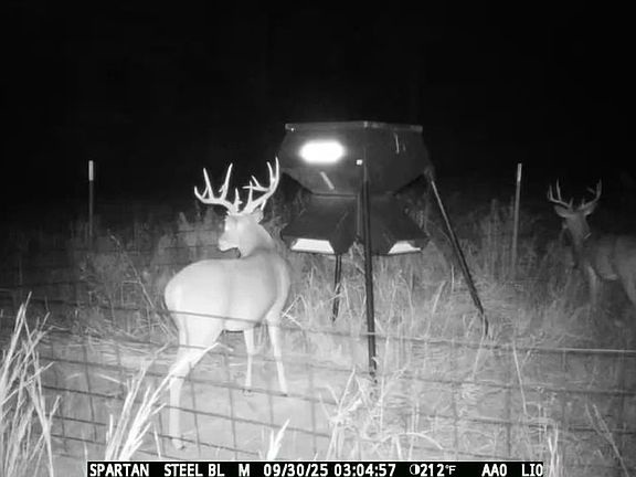 4159260354 Frame At 0m0s