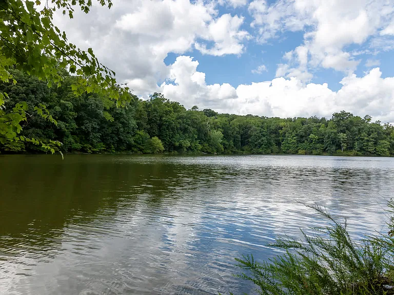 Enjoy Nature and Greenspace at Rock Creek Park