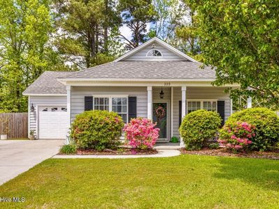 223 Olde Well Loop Road, Wilmington, NC, 28411