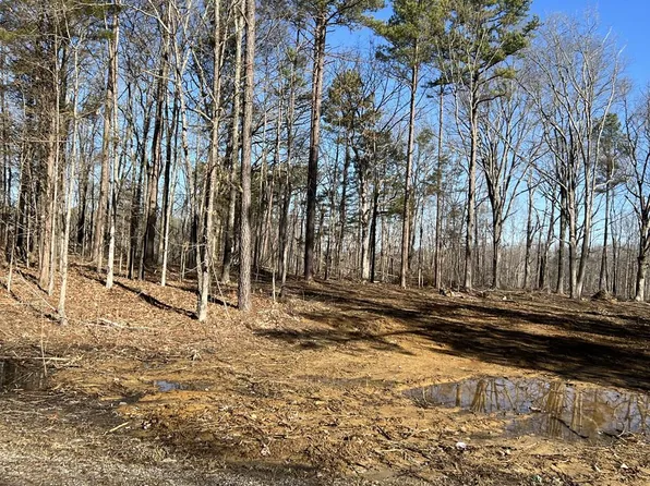 14 Walnut Grove Rd, Dover, TN 37058