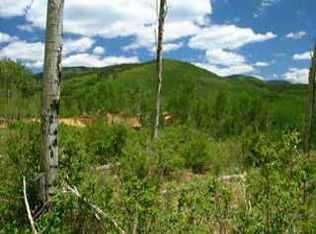 18 Primrose, Avon, CO 81620