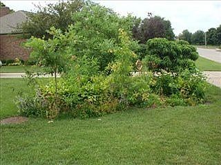 5th image of 209 Hawthorne Dr