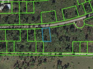 3250 Holifield Ave, Lake Placid, FL 33852
