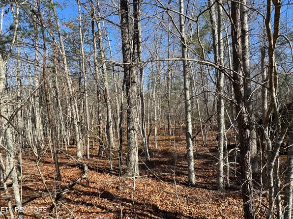 4-211 Cumberland Lakes Dr, Monterey, TN 38574