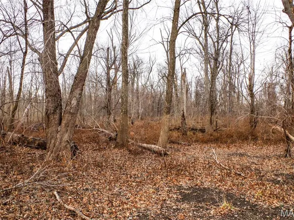 0 Pike 202, Annada, MO 63330