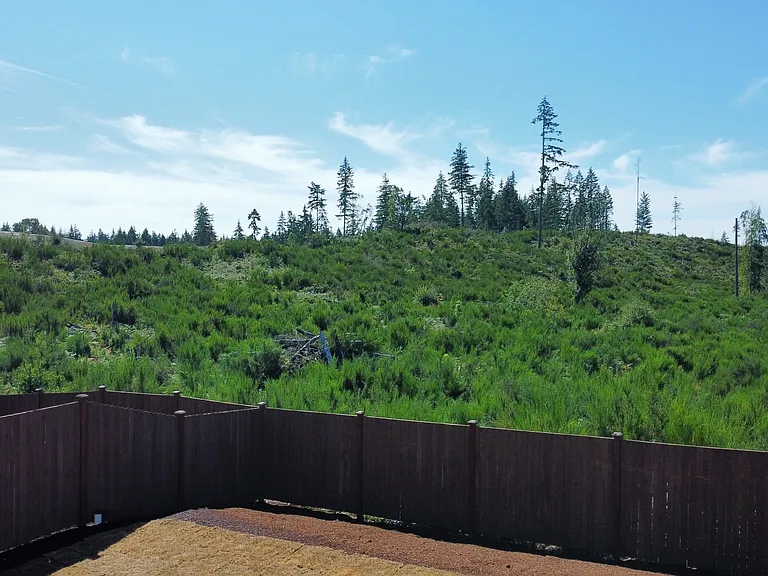 No neighbors from backyard. And with forest and valley views.