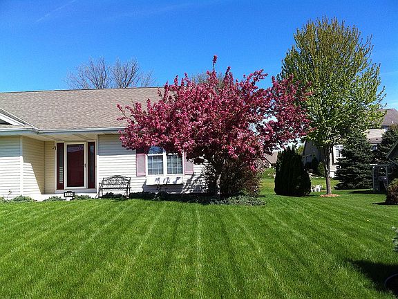 Spring: Crabapple in bloom