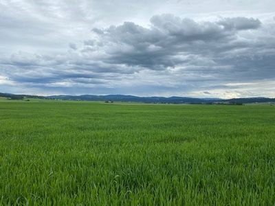 66XX E Mount Spokane Park Dr, Colbert, WA, 99005